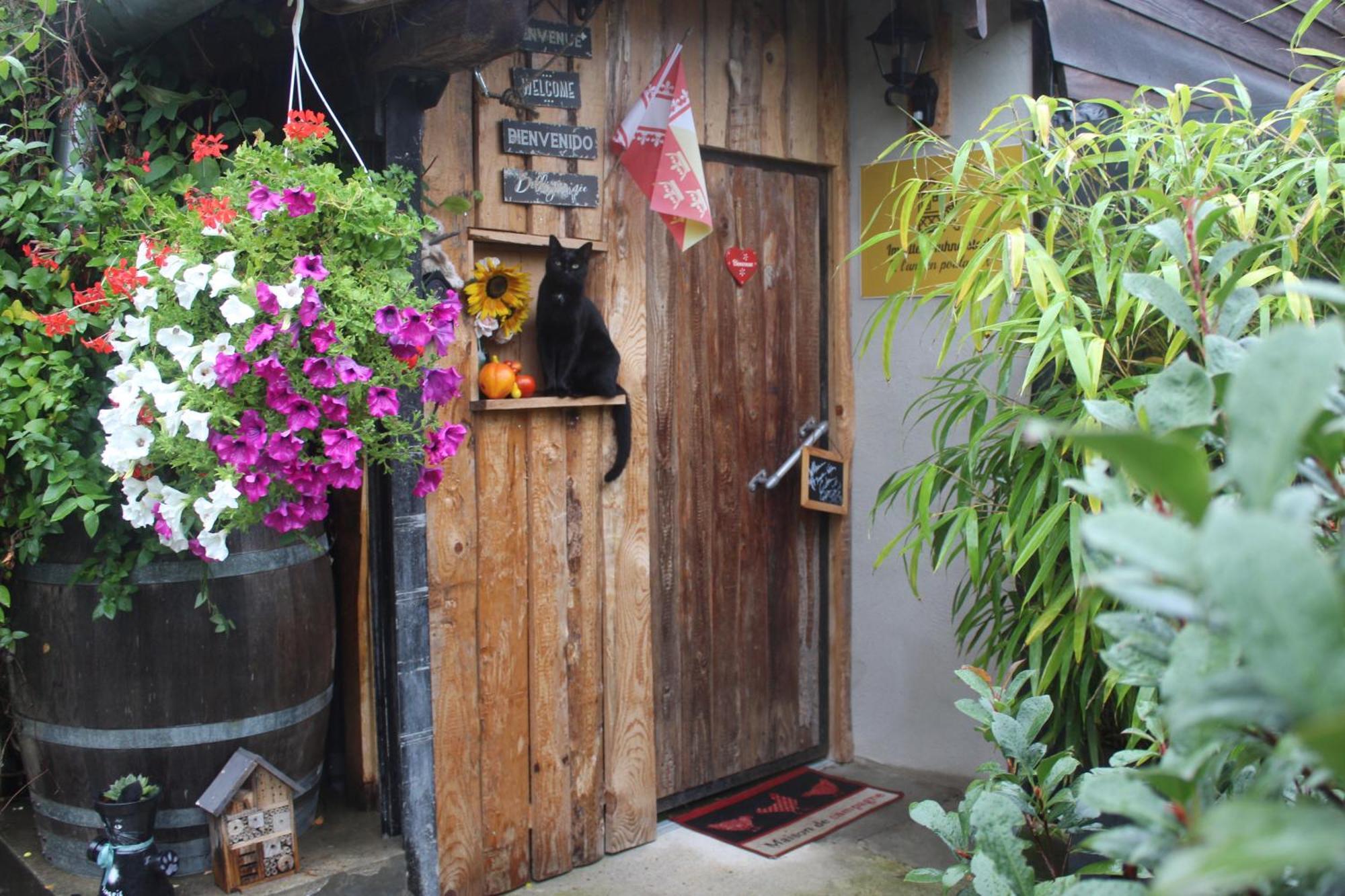 Maisonnette Bindernheim Ngoại thất bức ảnh
